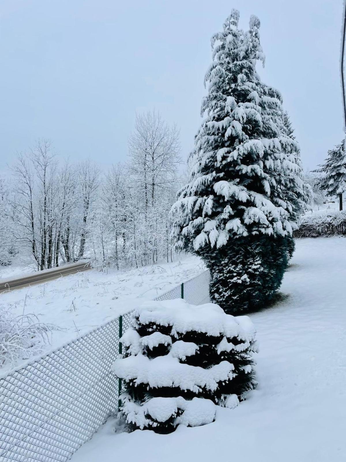 Merynos Chalet Bukowina Tatrzanska